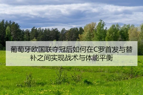 pu-tao-ya-ou-guo-lian-duo-guan-hou-ru-he-zai-luo-shou-fa-yu-ti-bu-zhi-jian-shi-xian-zhan-shu-yu-ti-neng-ping-heng-2-423.jpg