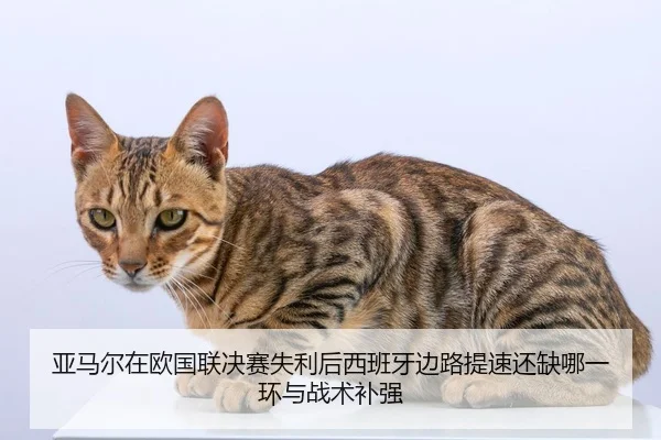 ya-ma-er-zai-ou-guo-lian-jue-sai-shi-li-hou-xi-ban-ya-bian-lu-ti-su-hai-que-na-yi-huan-yu-zhan-shu-bu-qiang-2-113.jpg