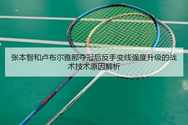 zhang-ben-zhi-he-lu-bu-er-ya-na-duo-guan-hou-fan-shou-bian-xian-qiang-du-sheng-ji-de-zhan-shu-ji-shu-yuan-yin-jie-xi-2-818.jpg